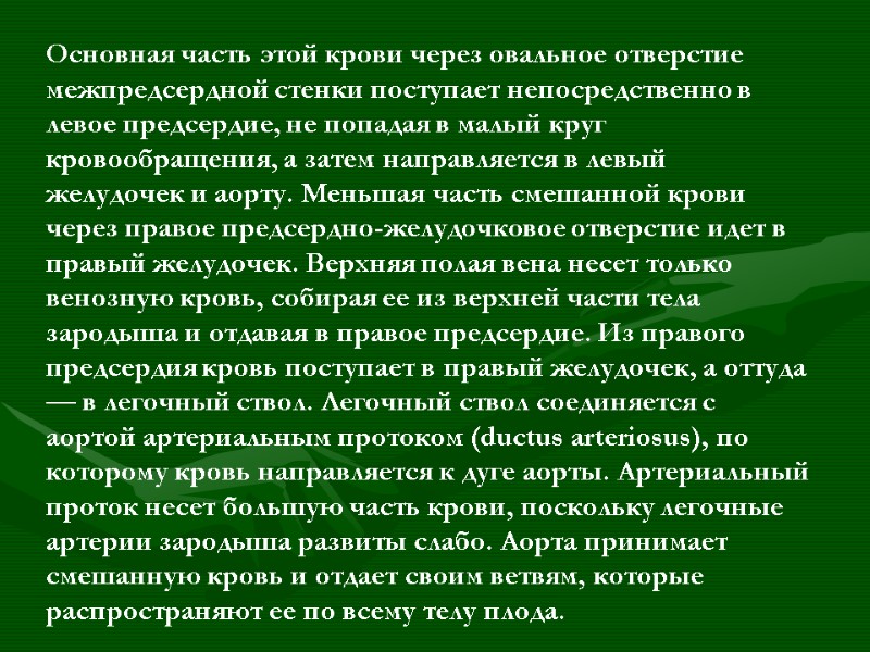 Основная часть этой крови через овальное отверстие межпредсердной стенки поступает непосредственно в левое предсердие,